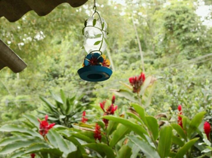 Suites Cocaia Ilhabela Esterno foto
