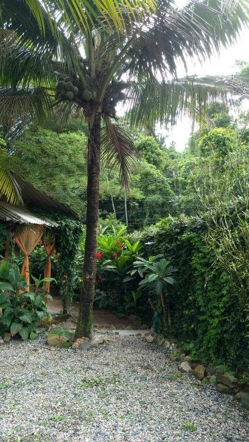 Suites Cocaia Ilhabela Esterno foto