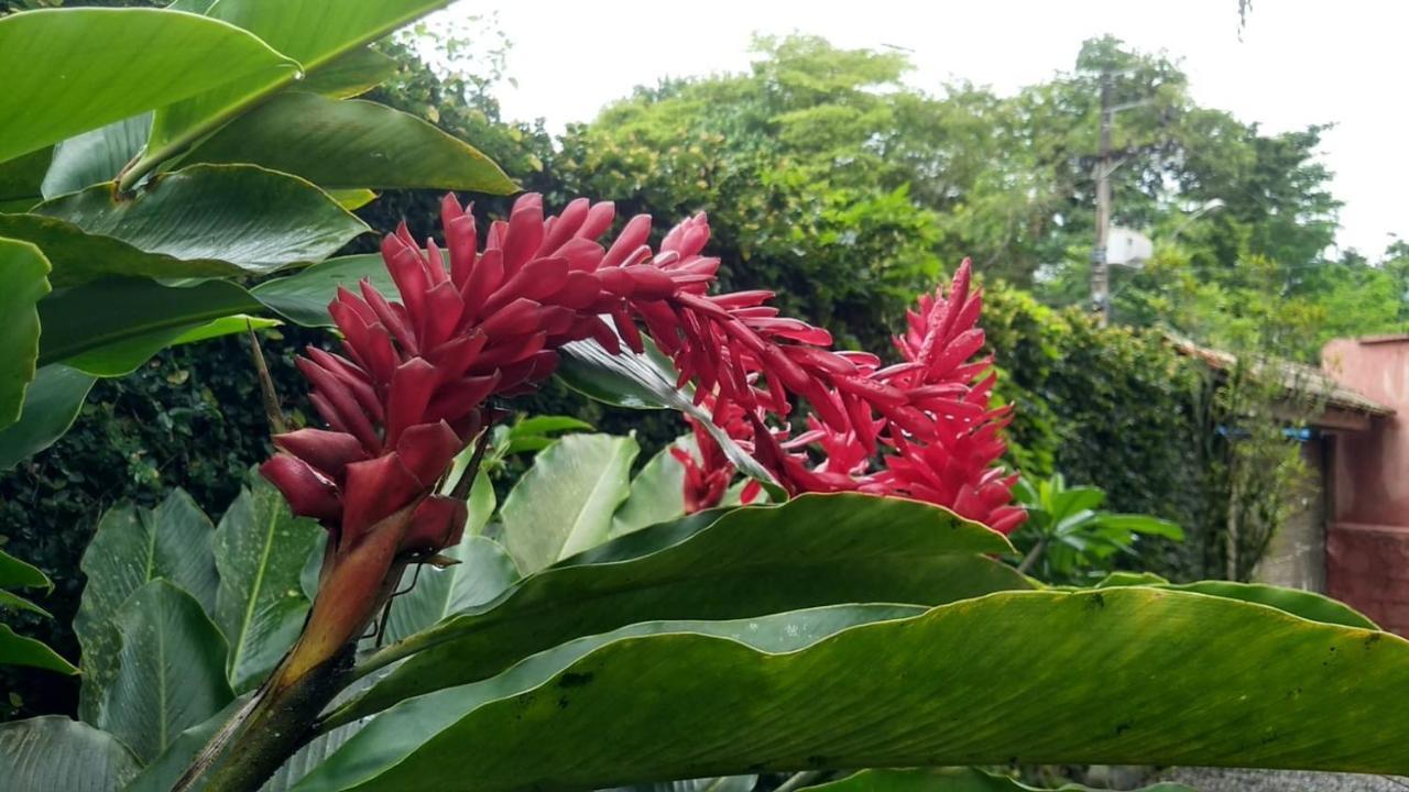 Suites Cocaia Ilhabela Esterno foto